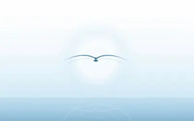 La sospensione delle ali